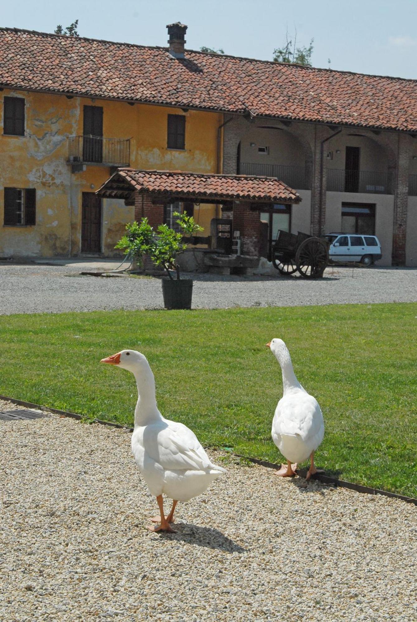 Hotel Antico Podere Propano Saluzzo Luaran gambar